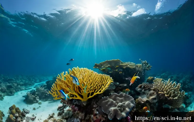 Home 17 해양 산성화와 해양 생태계 변화 - Photorealistic underwater coral reef affected by ocean acidification, fragile pale coral branches wi...